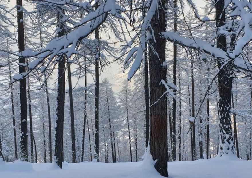 Balade contée : dans la nuit de l'hiver_Le Monêtier-les-Bains