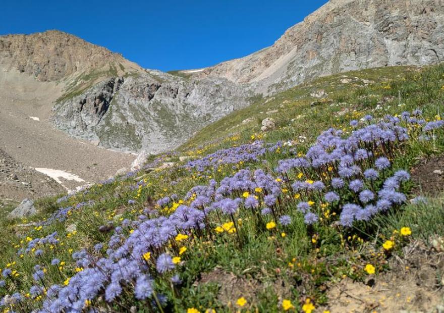 Montania Montania - Johan Mus_Briançon