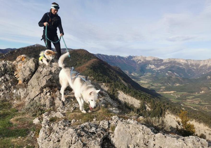 Garderie canine de plein air_Le Monêtier-les-Bains