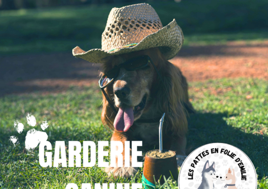 Garderie canine de plein air_Le Monêtier-les-Bains