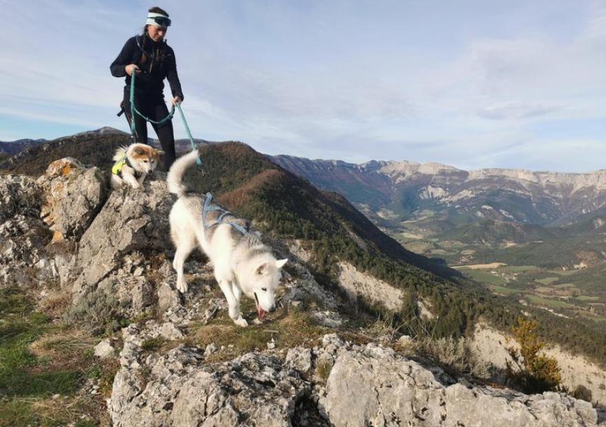 Les pattes en folie - Cani-balade_Le Monêtier-les-Bains