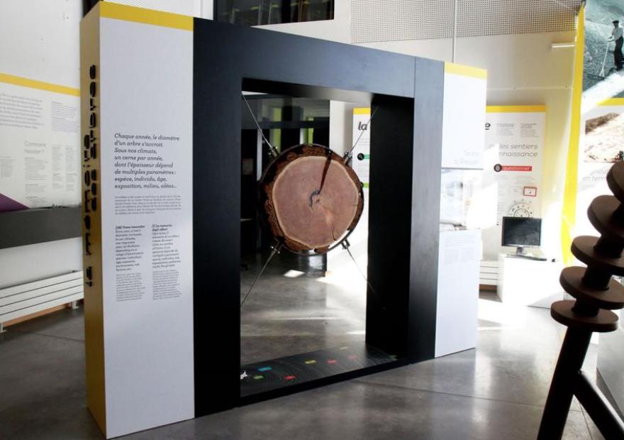 Espace muséographique "Découverte & sciences"