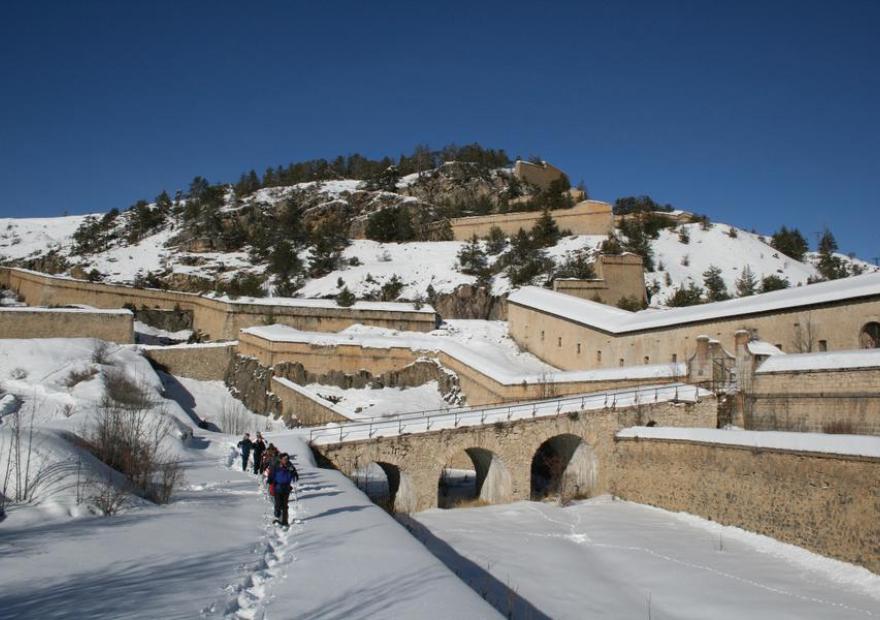 Perspective, communication Y