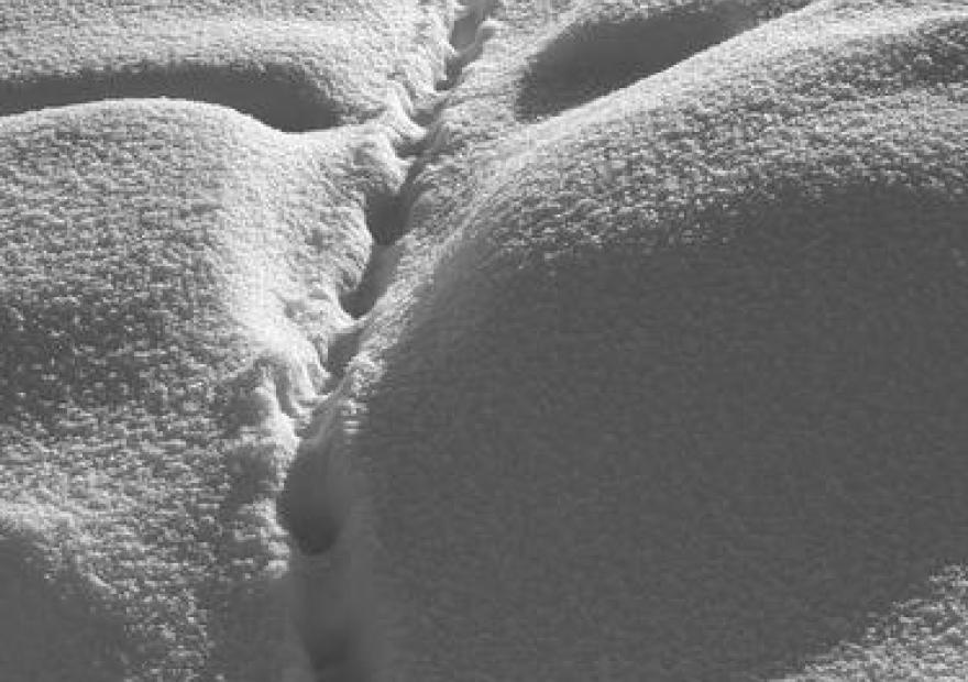 Rencontre avec un garde-moniteur_Le Monêtier-les-Bains