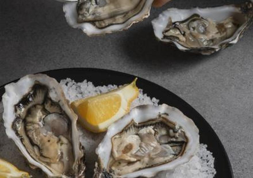 Apéro huîtres à la Résidence Domitys_Briançon
