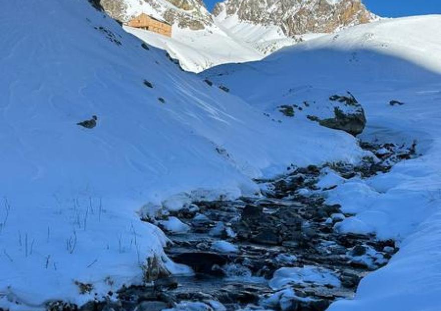 Refuge du Clot des Vaches_Le Monêtier-les-Bains