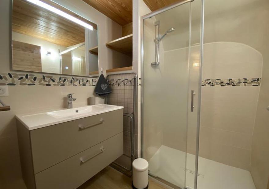 3-pieces-mezzanine-pic-blanc-potie-6-salle-eau-serre-chevalier-monetier