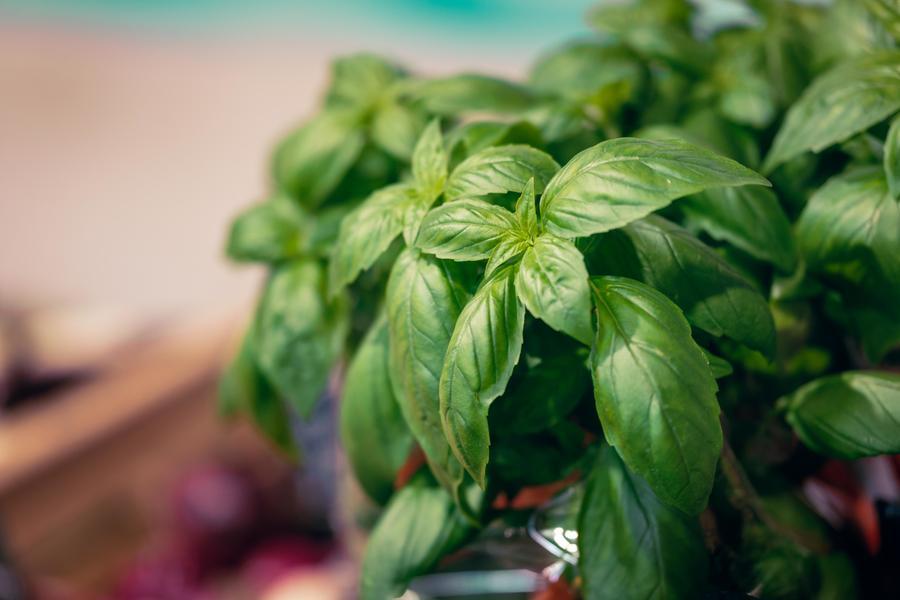 Marché hebdomadaire du Monêtier - Eté_Le Monêtier-les-Bains