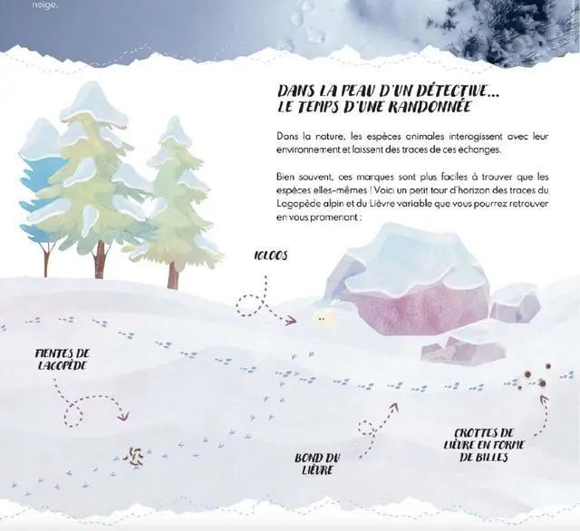 Exposition « Sur les traces des espèces blanches »_Le Monêtier-les-Bains