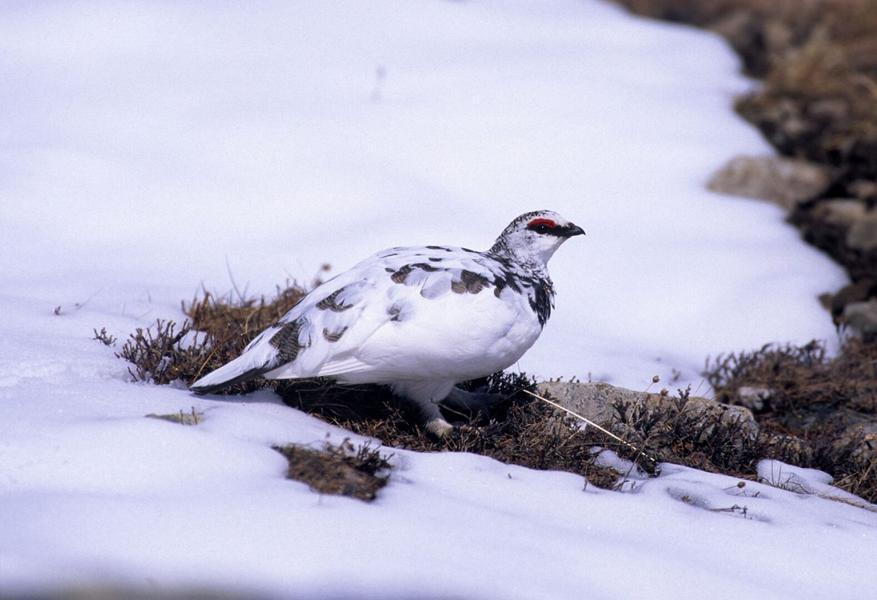 Les ateliers de Sophie_Le Monêtier-les-Bains