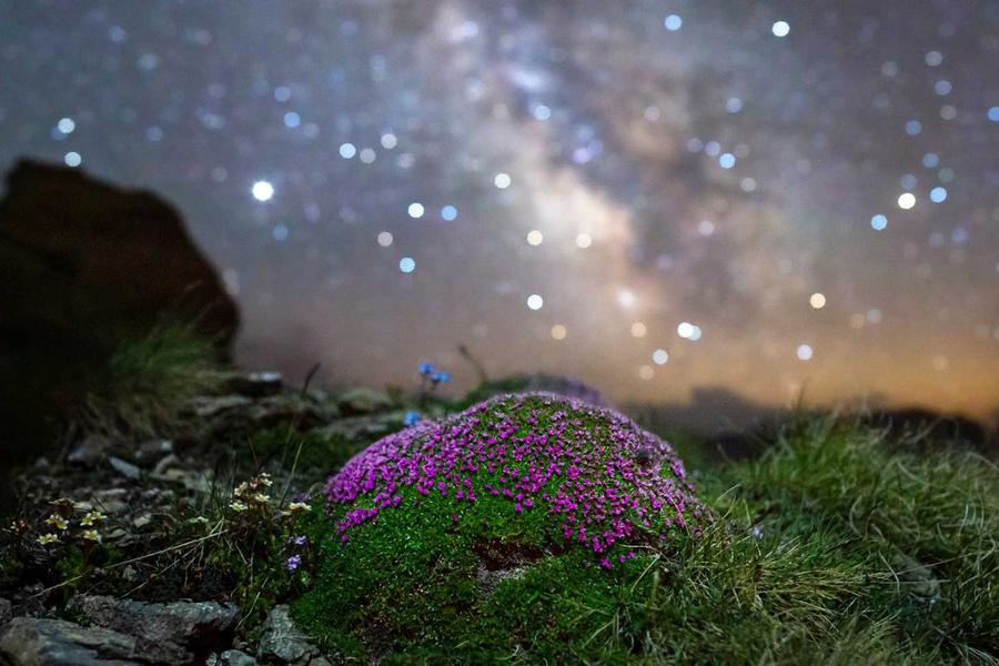 Stage photo du ciel étoilé et paysage nocturne_Le Monêtier-les-Bains