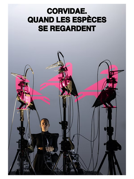 Spectacle "Corvidae"_Briançon