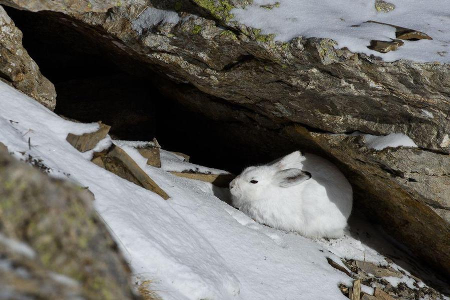 Conférence - Causerie_Briançon