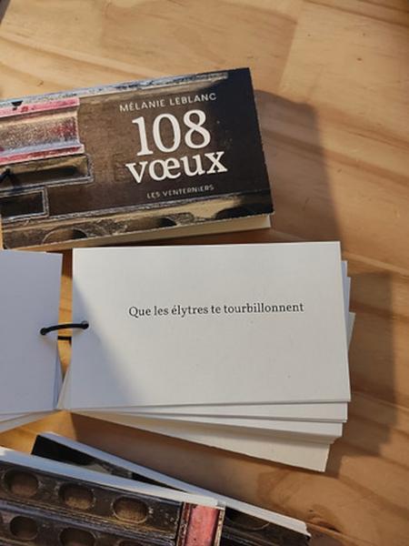 Exposition "108 voeux" - Poèmes de Mélanie Leblanc_La Salle-les-Alpes