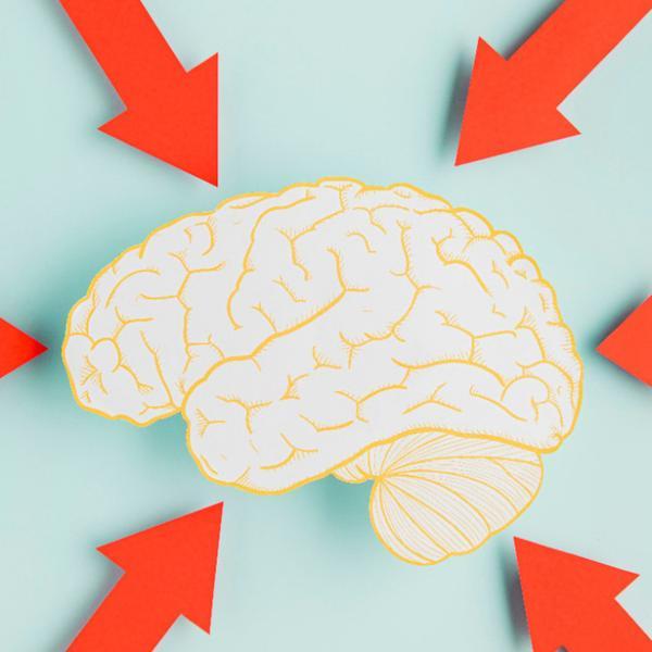 Atelier à la médiathèque_Briançon