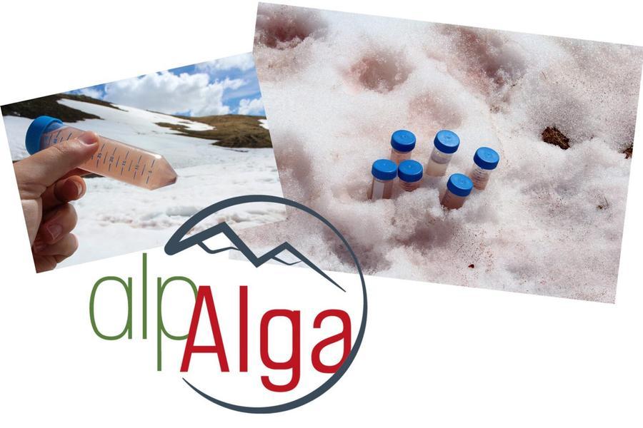Atelier scientifique : le sang des glaciers...enquête en cours_Le Monêtier-les-Bains