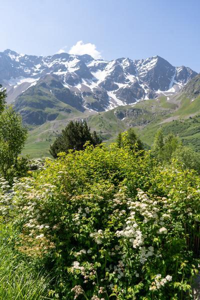 Col du Lautaret
