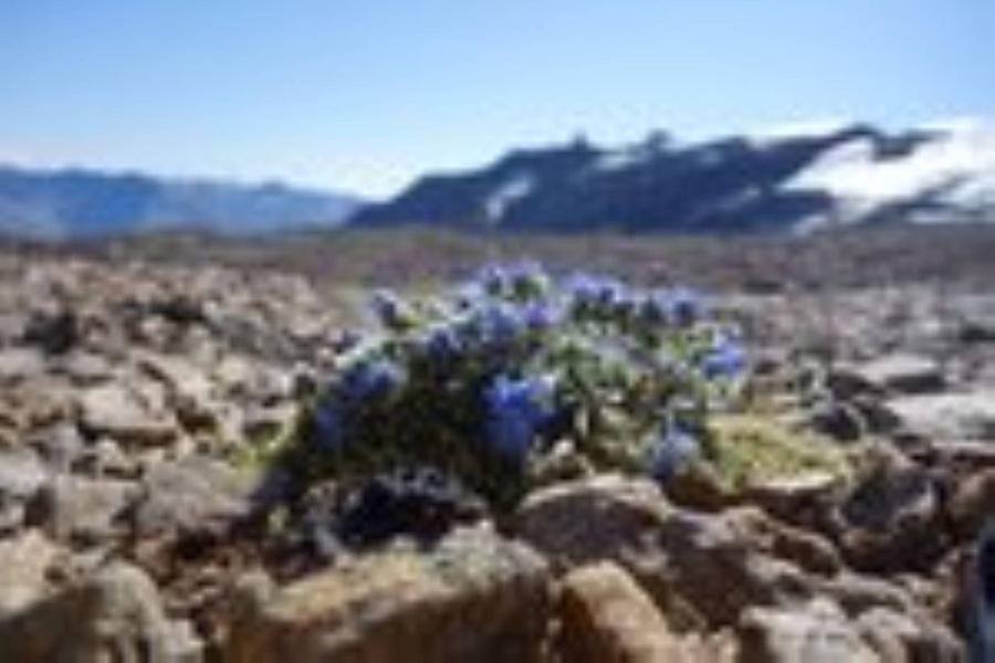 pour film Sur les îles du ciel